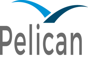 Pelican Kazino